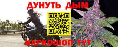 сатива Ставрополь