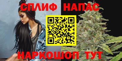 сатива Ставрополь