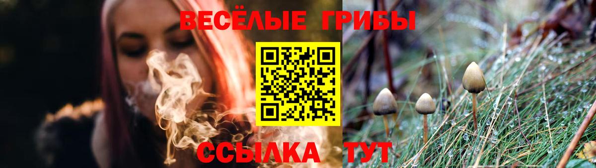 Нерюнгри  Галлюциногенные грибы мухоморы  Вход с VPN  Галлюциногенные грибы Cubensis 