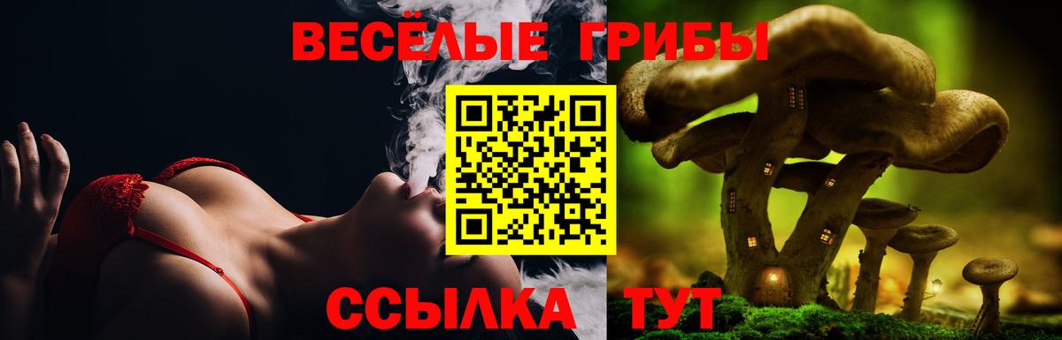 Псилоцибиновые грибы мухоморы Нерюнгри
